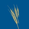 Wheatland FCU Mobile Banking fcu mobile