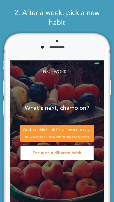 iPhone Screenshot 2