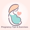 Week By Week My Pregnancy Tips, Diet & Exercises pregnancy week by week 