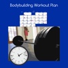 Bodybuilding workout plan bodybuilding workout 