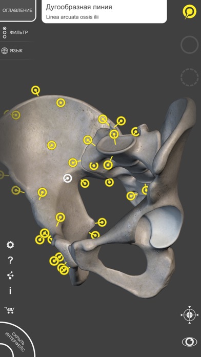 3D Атлас Анатомии Скачать Бесплатно