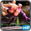 Wrestling Fighting Revolution -Real Champions 3D wrestlingfigs 