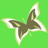 no app image