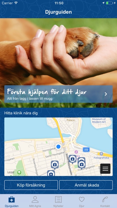 iPhone Screenshot 1