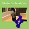 Schedule for gym workout workout schedule 