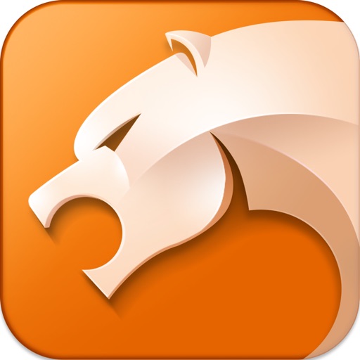 icon