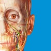 Human Anatomy Atlas 2017 - Complete 3D Human Body human body women anatomy 