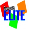 Gymnastics Elite For Kids gymnastics for kids 