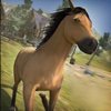 Medieval Horse Empire (DELUXE EDITION) pocket edition