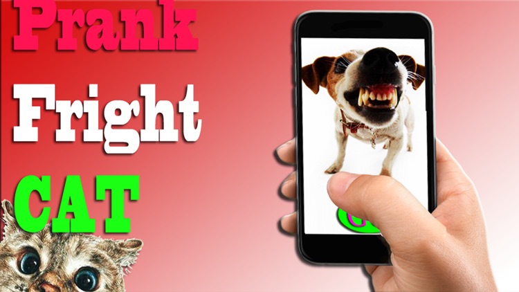 Angry Cat Sounds and Pictures Prank Your Dog - Excite Your Dog