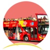 Hop-On Hop-Off Bus Tours bus tours 