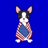 Black Boston Terrier Emoji Stickers for iMessage