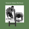 Muscle mass workout best mass mailer