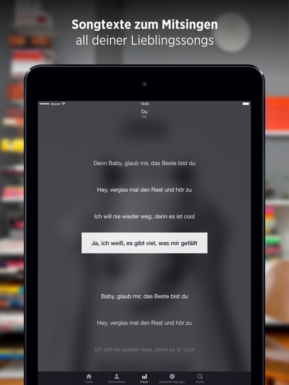 iPad Screenshot 4