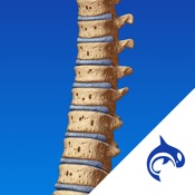 Spine Decide - Education & Engagement Mobile App Icon