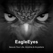 EagleEyes-lite