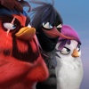 Angry Birds Evolution birds