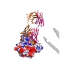 HIV Antibody Database hiv