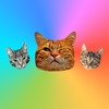 對於貓的iMessage貼紙:Cat Stickers for iMessage