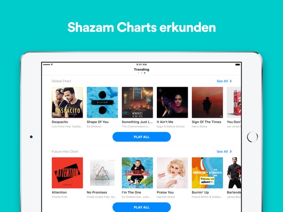 iPad Screenshot 3