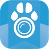 Cam2Pet – Dog Monitor & Pet Camera
