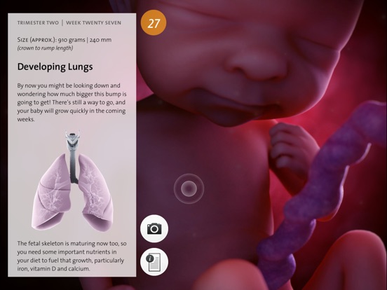 Pregnancy: Life in the Womb Screenshots