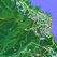 Mapster
