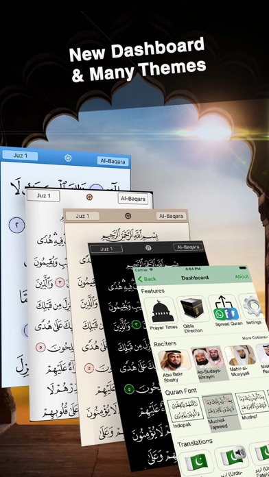 iPhone Screenshot 3