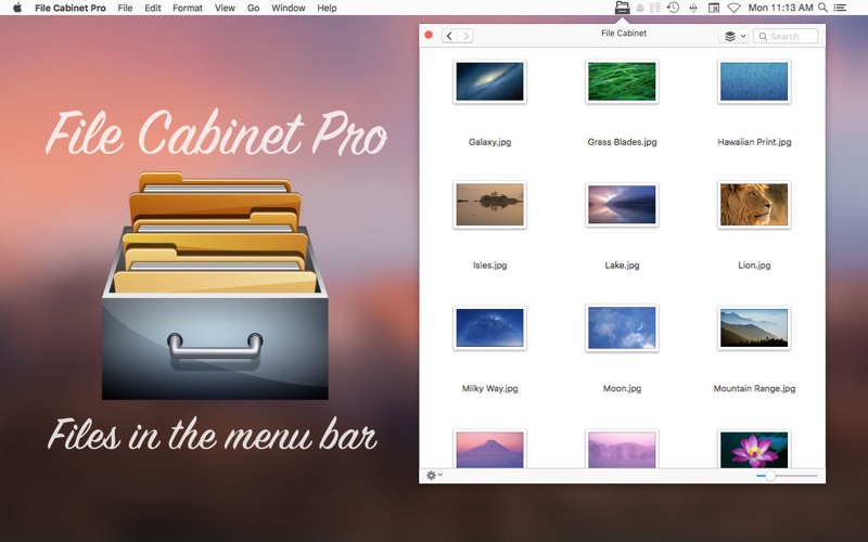 File_Cabinet_Pro.app caprure 1 1_File_Cabinet_Pro.jpg