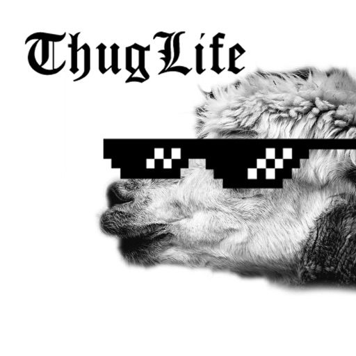 Thug Life Mix Video Editor By Xiaoqian Zheng