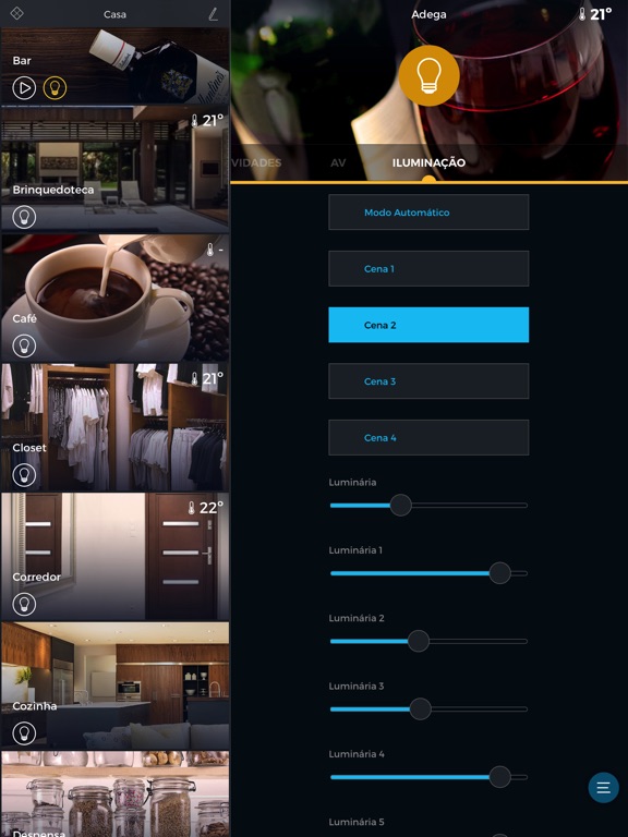 iPad Screenshot 1