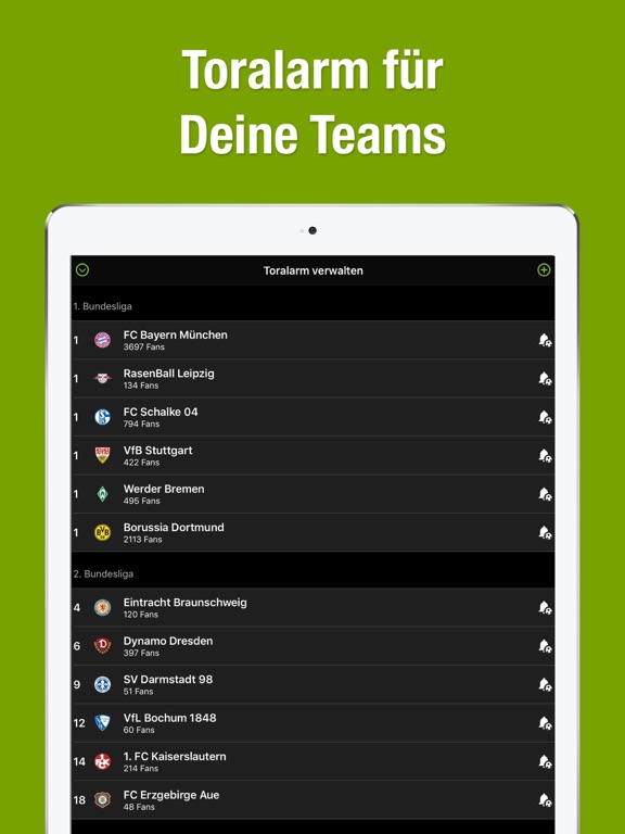 iPad Screenshot 2