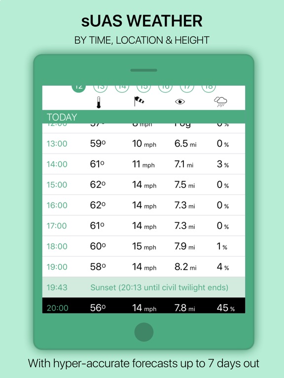 iPad Screenshot 4