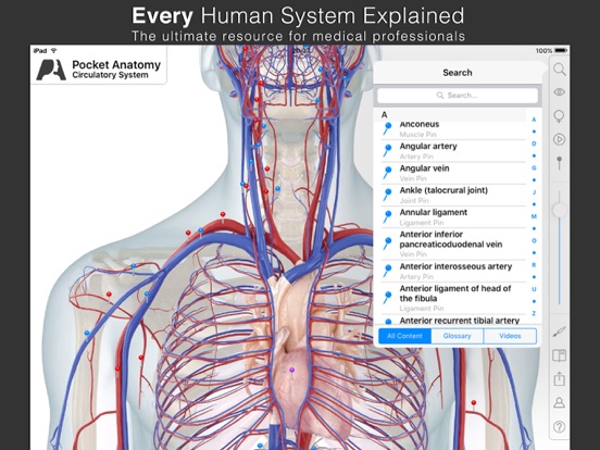 Pocket Anatomy. Screenshots