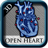 Open Heart 3D