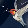 Birds alarm clock: nature wake up & sleep sounds alarm clock sounds 