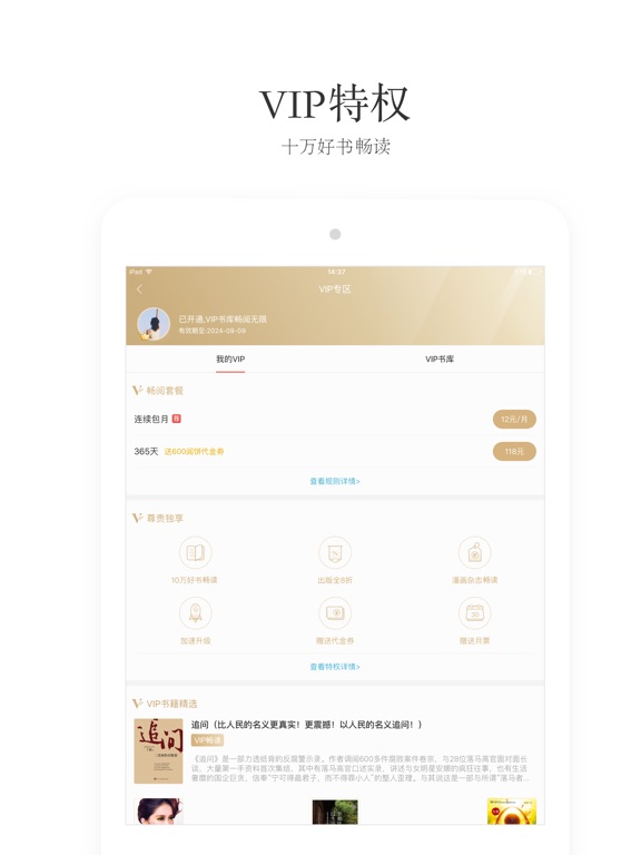 iPad 屏幕截图 4