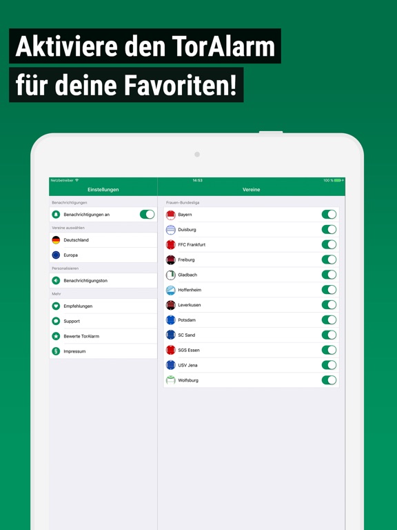 iPad Screenshot 2