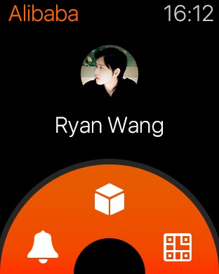 iPhone Screenshot 1