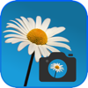 no app image
