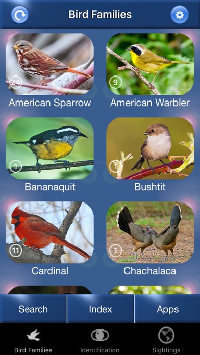 bird id usa guide to identify backyard birds app download bird id usa guide to identify backyard birds app download