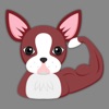 Red Boston Terrier Emoji Stickers for iMessage