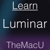 Learn - Luminar Edition