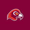 Fairmont State University Fighting Falcons fighting falcons 