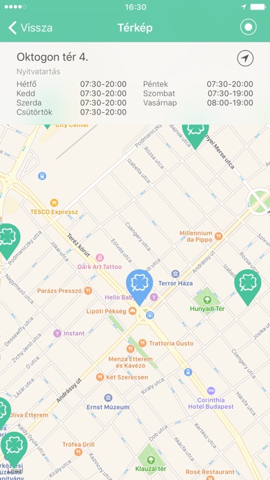 iPhone Screenshot 5