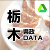 栃木県政DATA