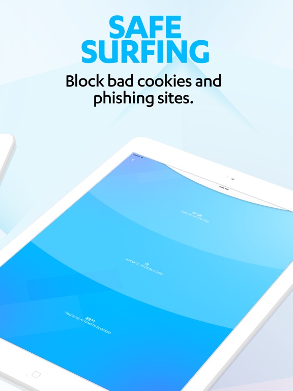 iPad Screenshot 5