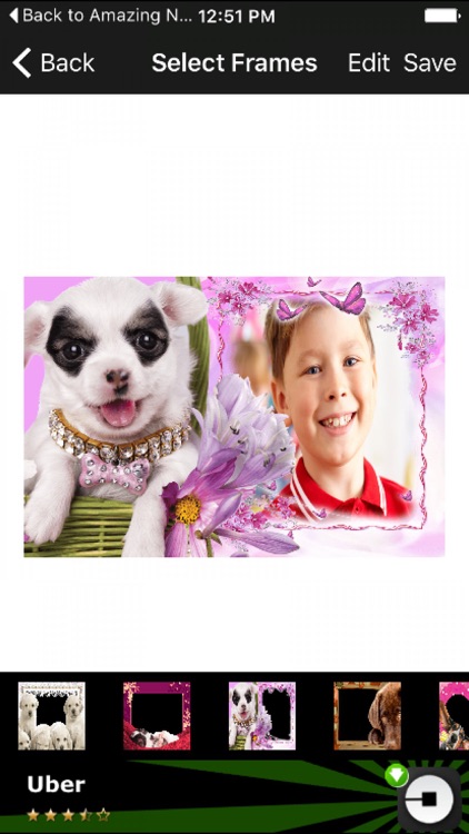 Dog photo frames on sale online