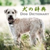 犬の百科辞典
