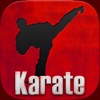 Karate TKD Martial Arts - Black Belt Kumite Kempo